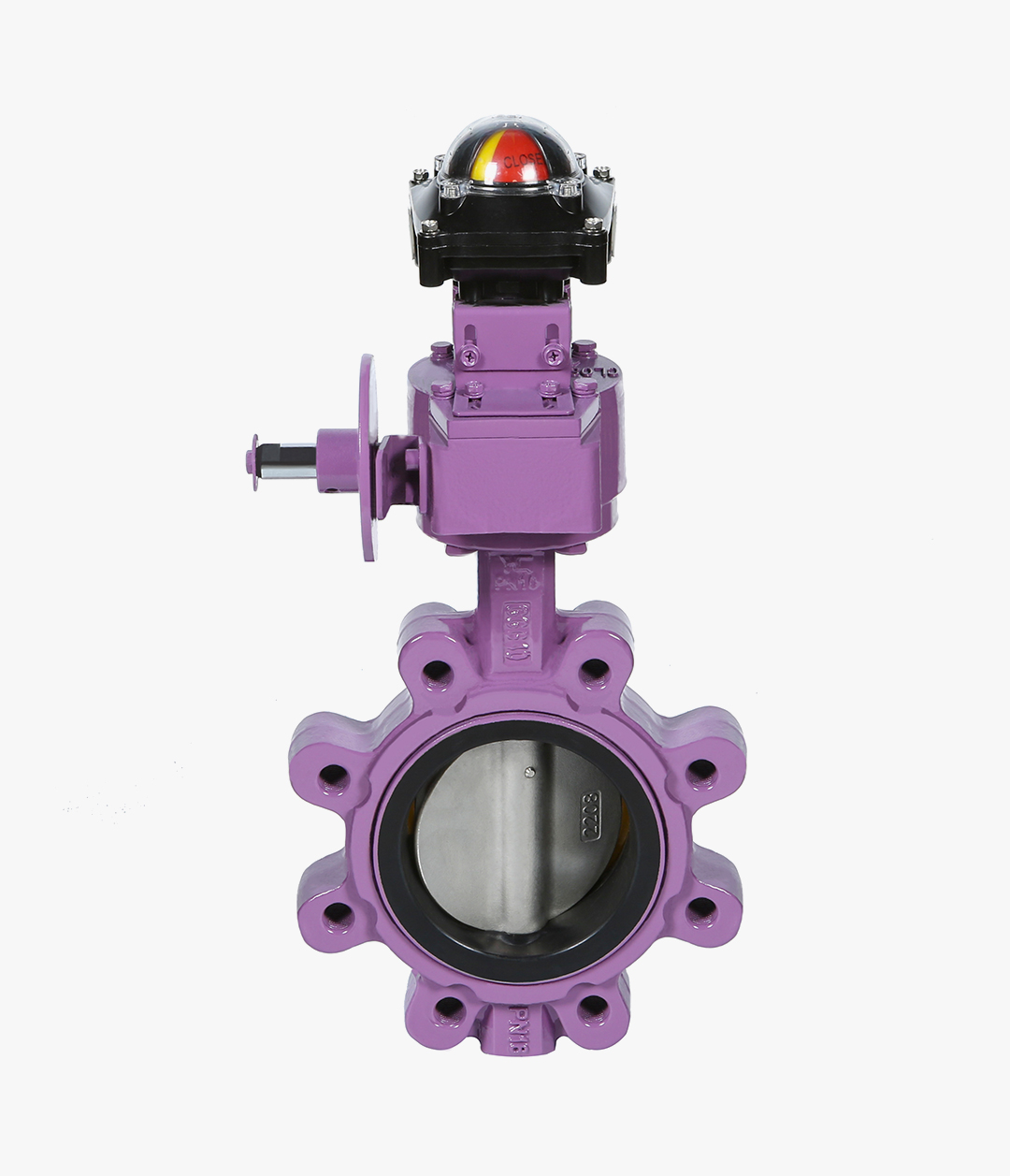 Pneumatic Actuated Butterfly Valve