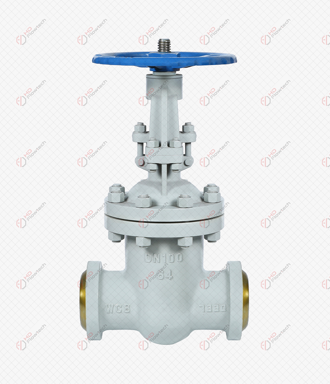 Cast Carbon Steel Gate Valve — Socket Weld Medium Pressure Process Service
