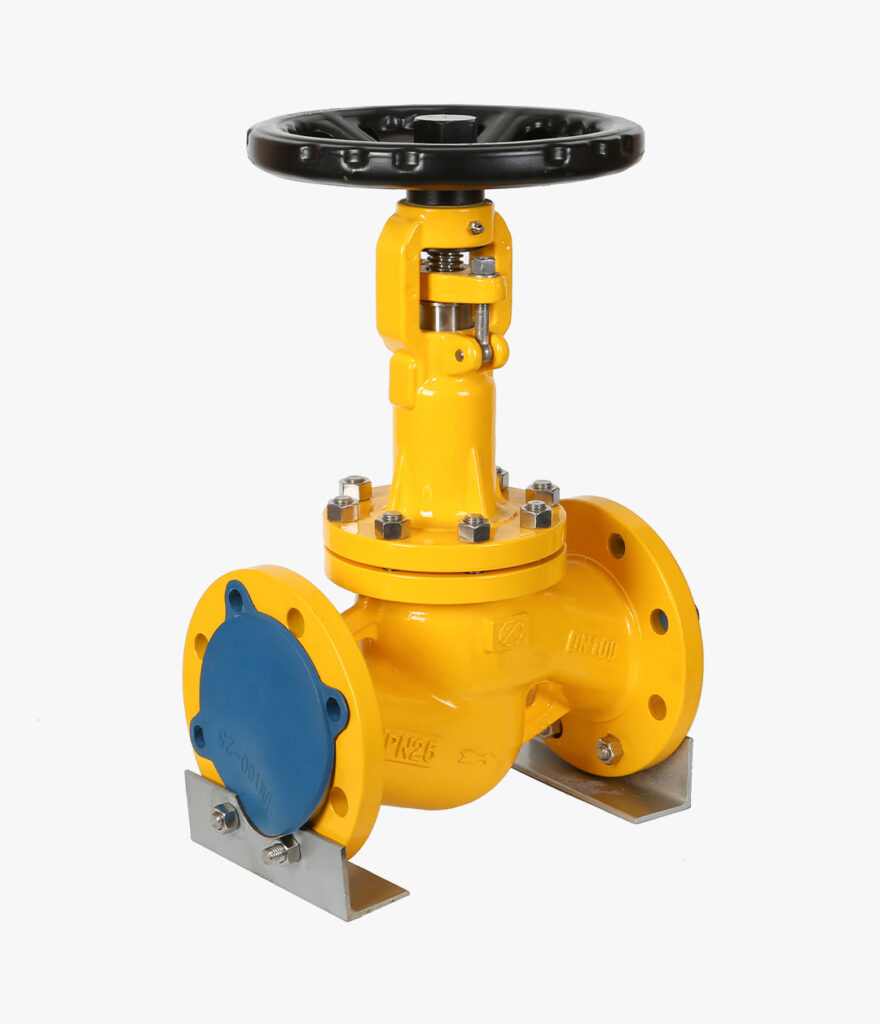 Globe Valve