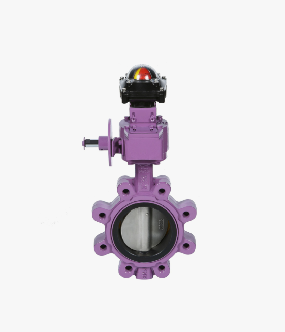 Butterfly Valve