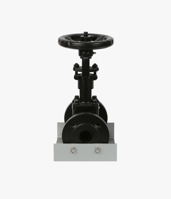 Globe Valve