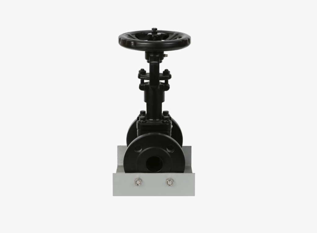 Globe Valve